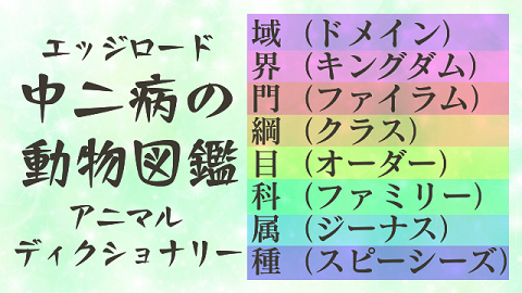 動物 の 名前 漢字 読めるか挑戦 みんな大好きな動物の難読漢字4選