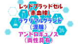 150語 中二ルビで覚える英単語 四文字編 創作に使えるかもしれない用語集