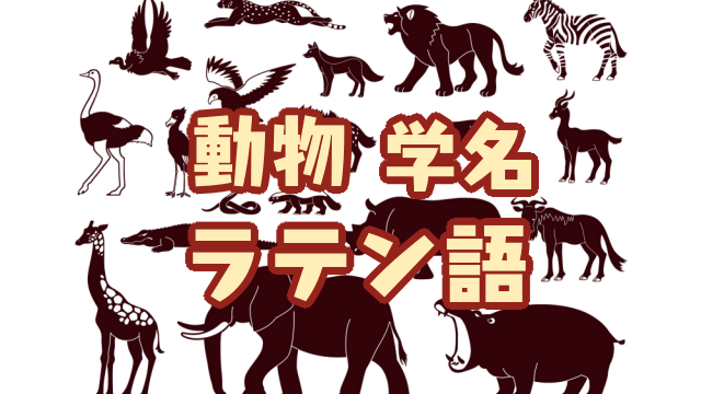 動物 生き物の学名 ラテン語の呼び名 60匹 創作に使えるかもしれない用語集