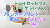 40語 数学に関する言葉を英語にしたら 厨二すぎる 創作に使えるかもしれない用語集