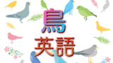 おしゃれでかっこいい外国語の鳥の名前 40語 創作に使えるかもしれない用語集