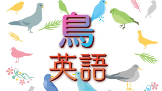 中二病の動物図鑑 英語の名前がかっこいい動物 180匹 創作に使えるかもしれない用語集