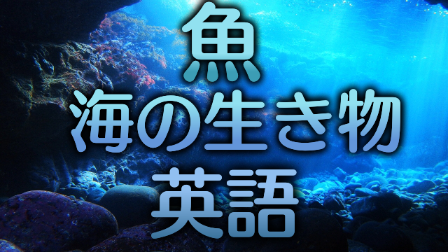 魚介類 海の生き物の英語 英単語 60語 創作に使えるかもしれない用語集